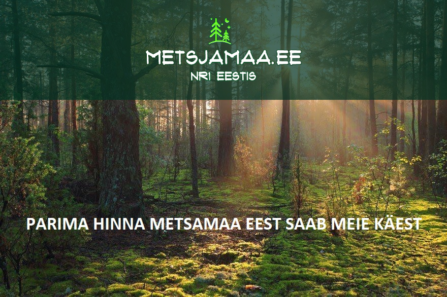 METSAMAA HIND - Metsamaa Hinnapäring | Metsa Müük | Kasvava Metsa Ost