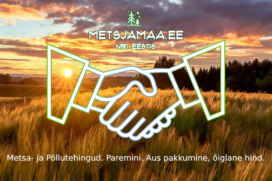 Maatulundusmaa | Metsamaa | Põllumaa | Rohumaa | Raieõiguse | Metsamaterjali | Ostmine | Müümine | Hindamine | Raietööd | Metsa Ost | Metsa müük | Metsamajandus | Metsandus | Metsaraie | Mets | Põld | Maa | metsjamaa.ee | Eesti Metsade Liit | Kindel koostööpartner | Nr1 Eestis